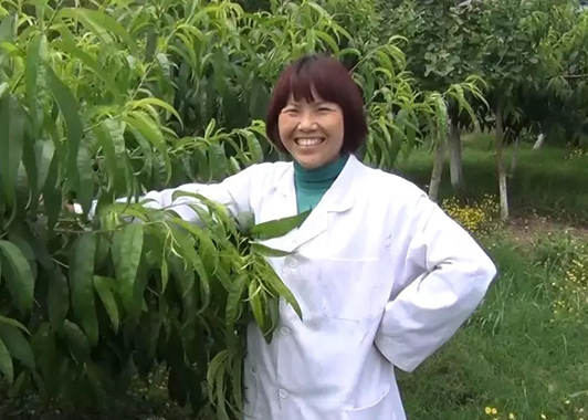 幸福農場(chang)中(zhong)的(de)幸福事